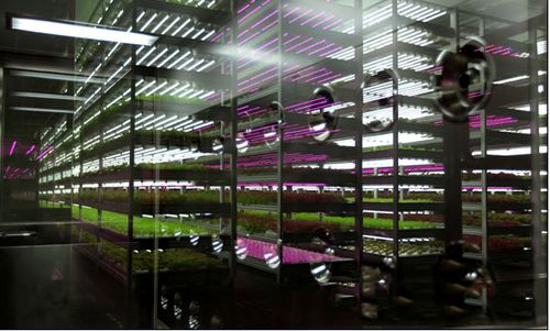 科技賦能，綠色未來 2018中國國際植物工廠及農業照明博覽會即將在滬開幕